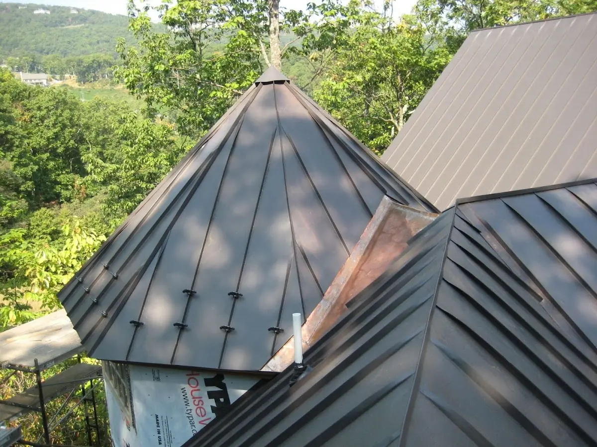 Professional Gutter Cleaning by Craftsman Roofing in Poinsetta